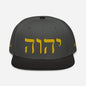 W.I.N. YHWH CAP #2