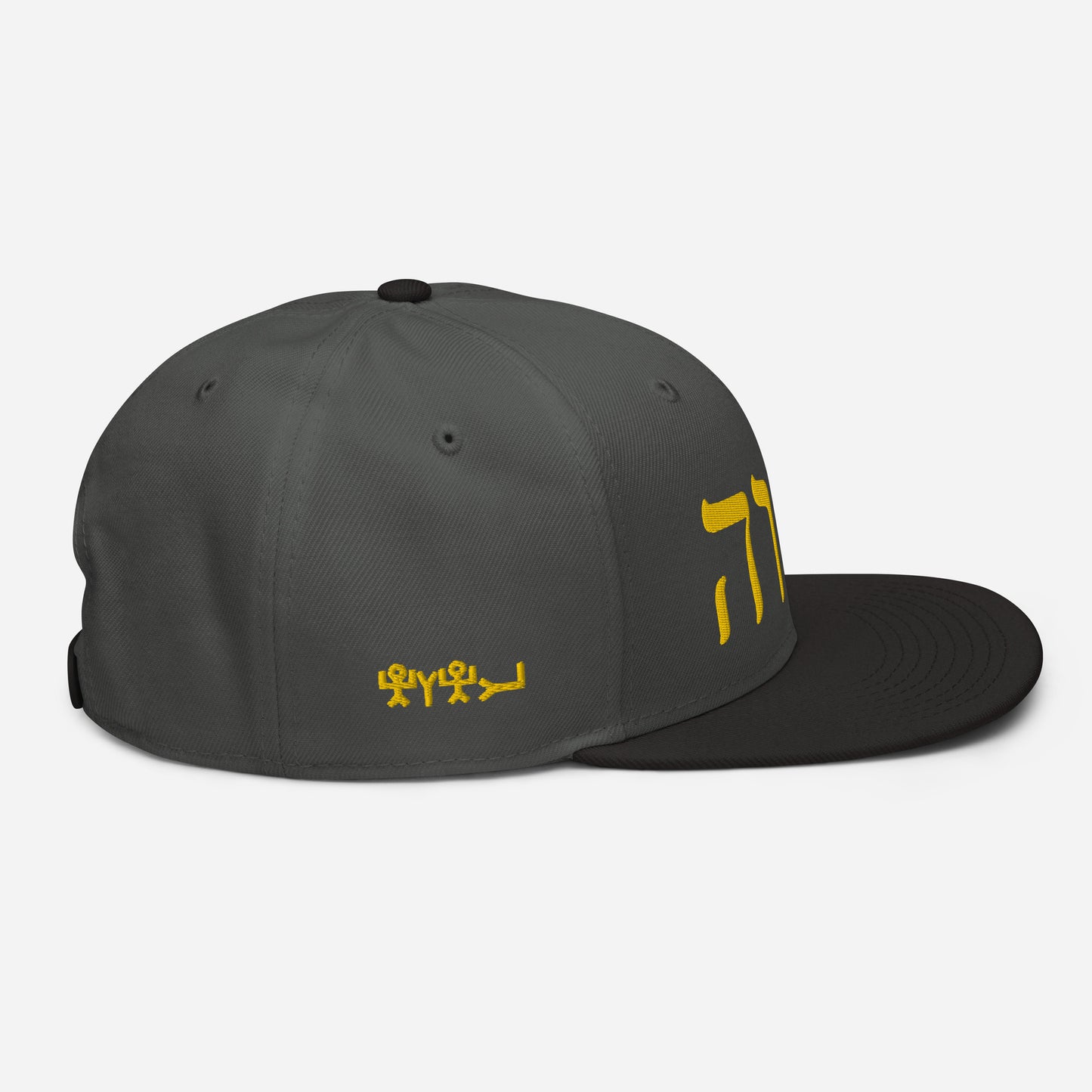 W.I.N. YHWH CAP #2