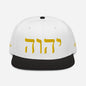 W.I.N. YHWH CAP #2