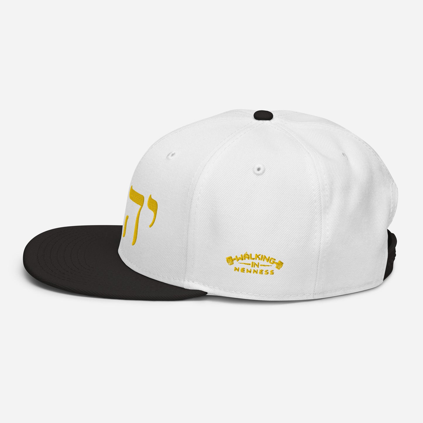 W.I.N. YHWH CAP #2