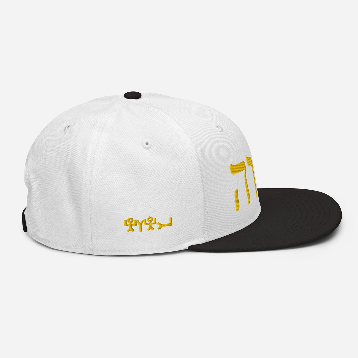 W.I.N. YHWH CAP #2