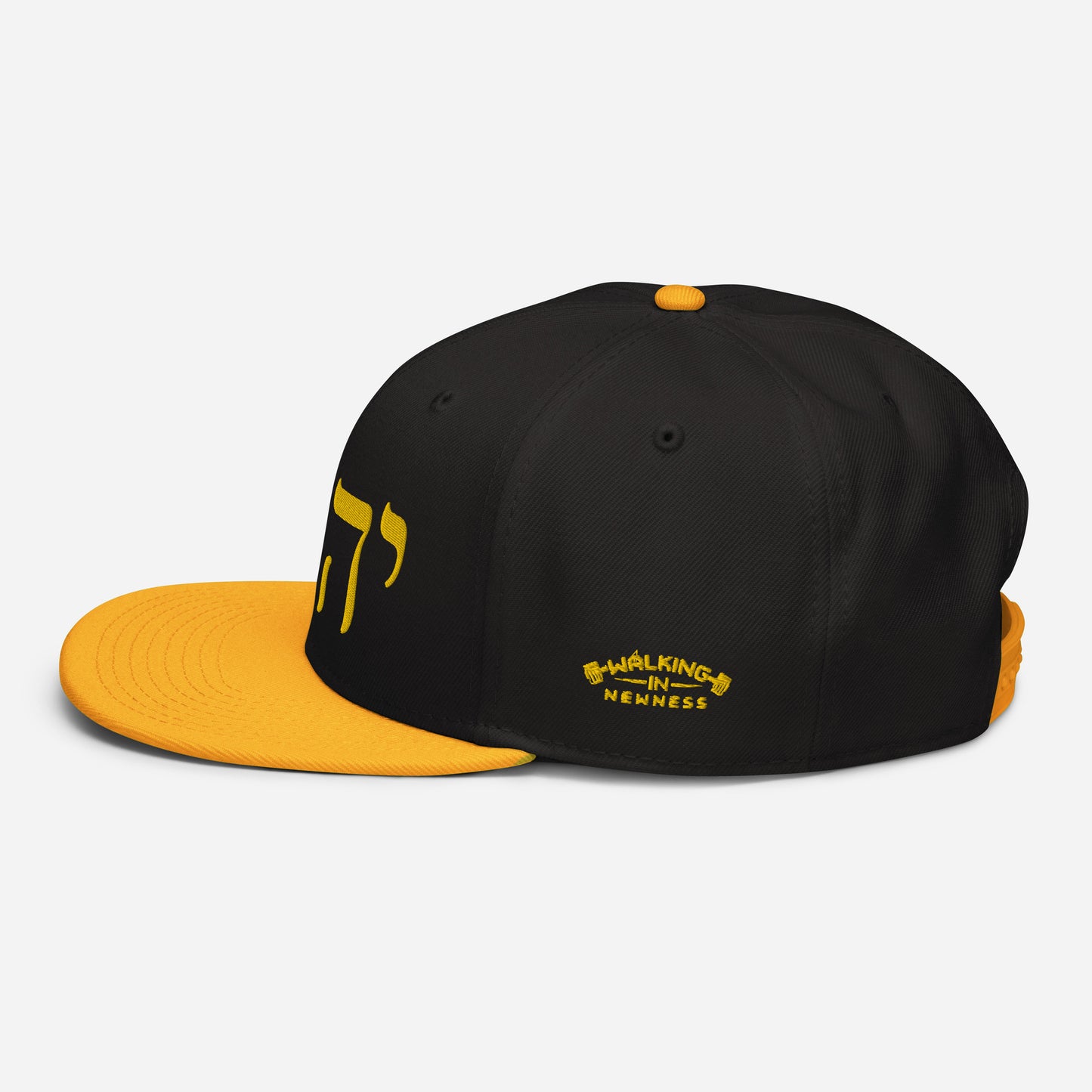 W.I.N. YHWH CAP #2