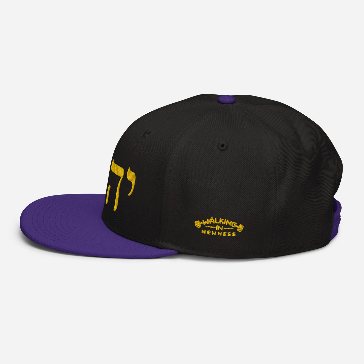 W.I.N. YHWH CAP #2