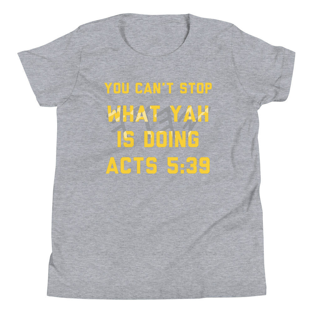 Boys Acts 5:39 T-Shirt