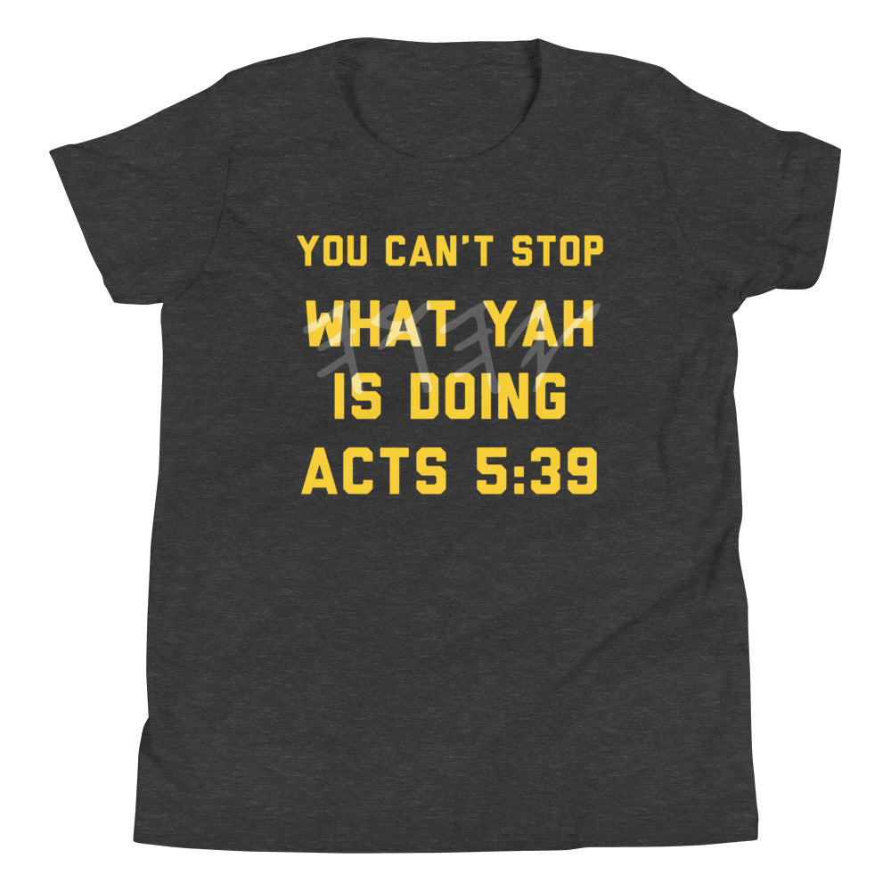 Boys Acts 5:39 T-Shirt