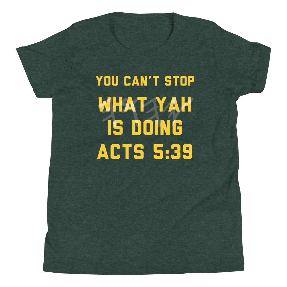 Boys Acts 5:39 T-Shirt